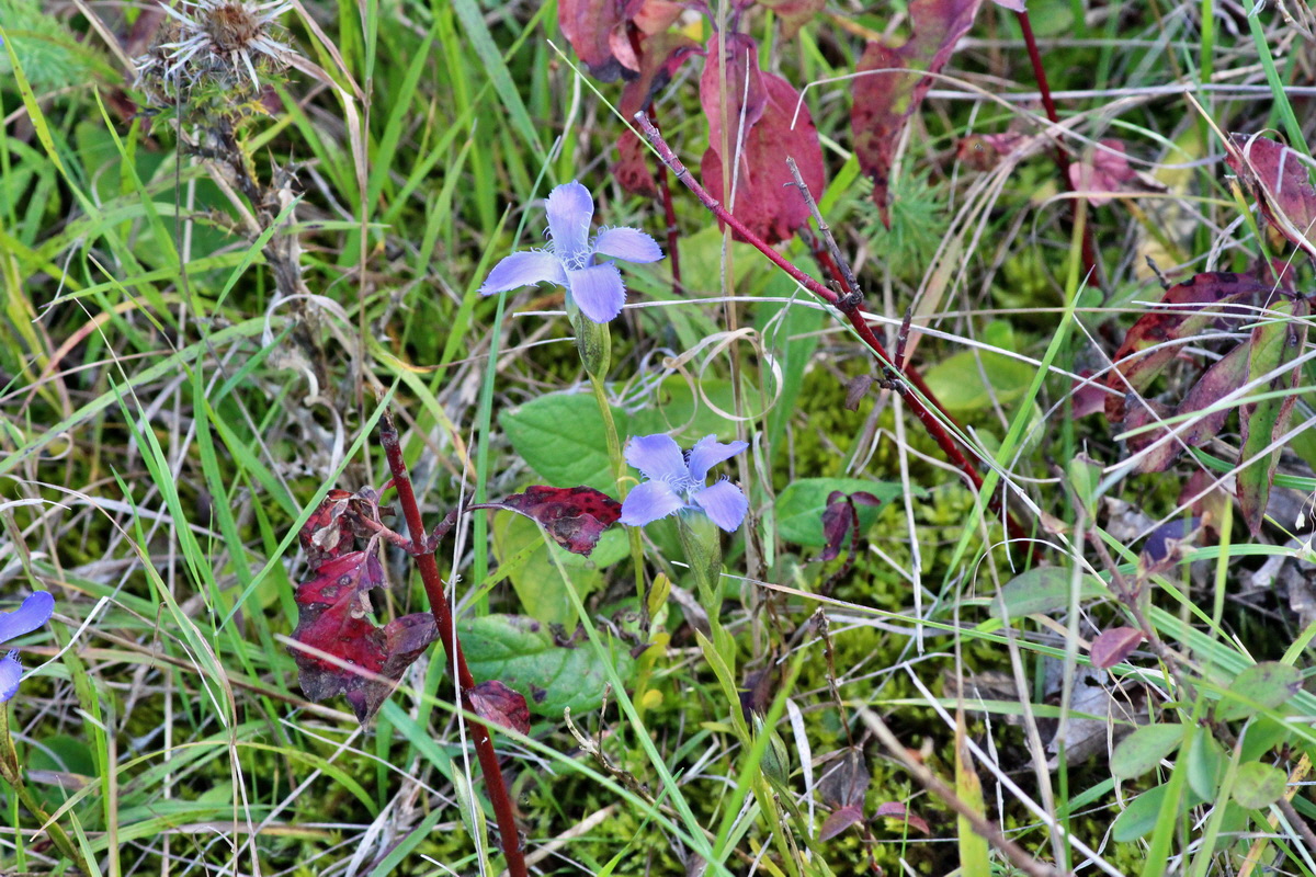 2014_08_28_00050357p_Bildgr��e �ndern