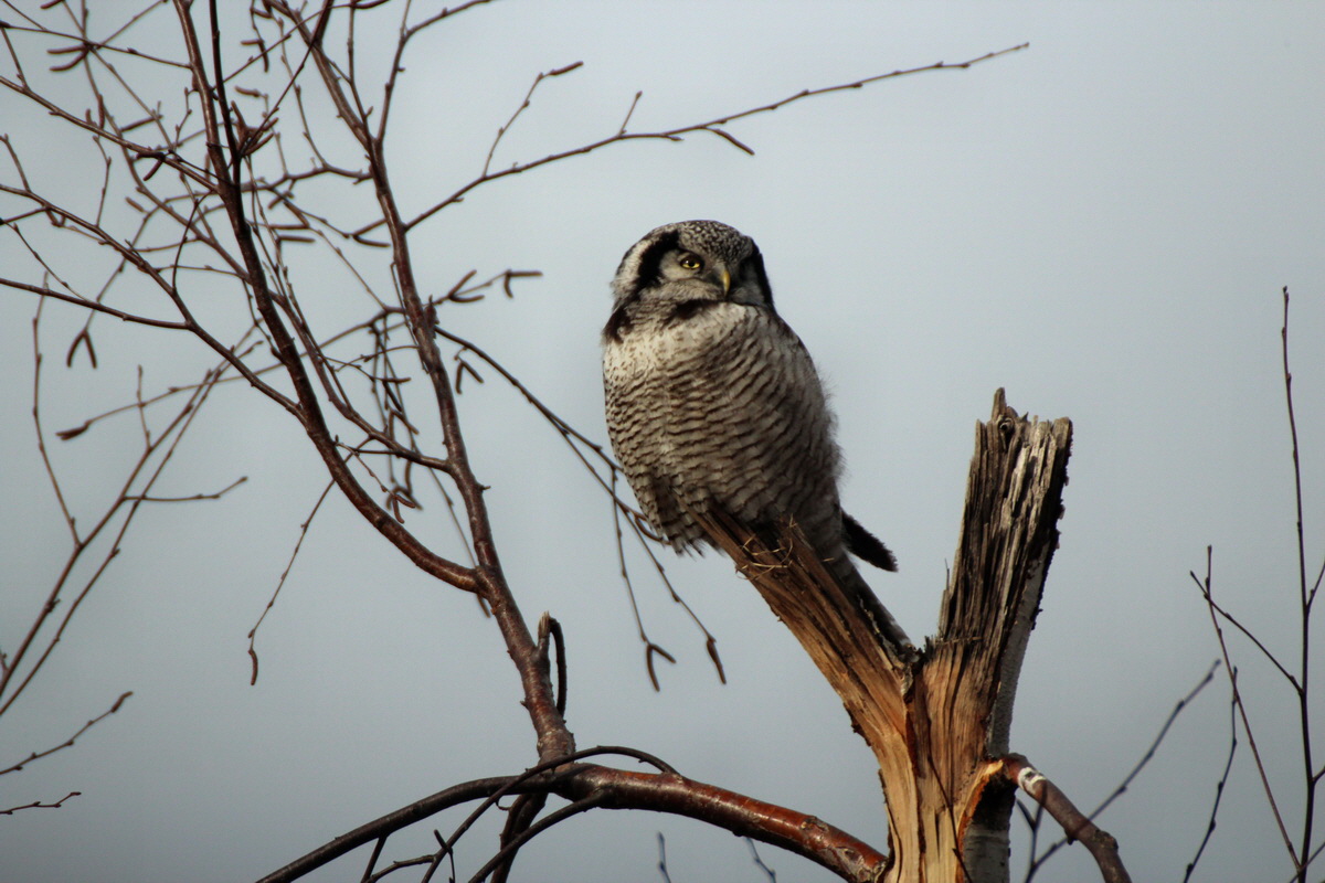 2014_02_08_00033792p_Bildgr��e �ndern