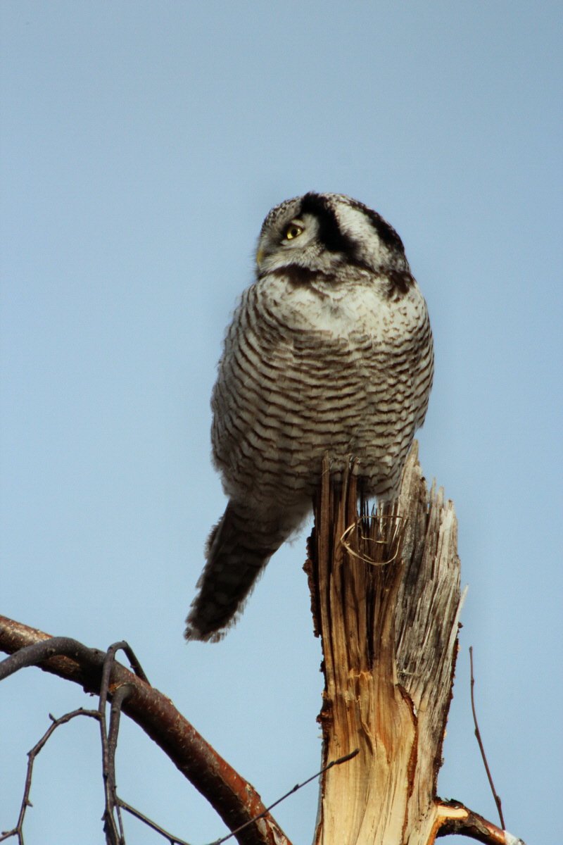 2014_02_08_00033911p_Bildgr��e �ndern