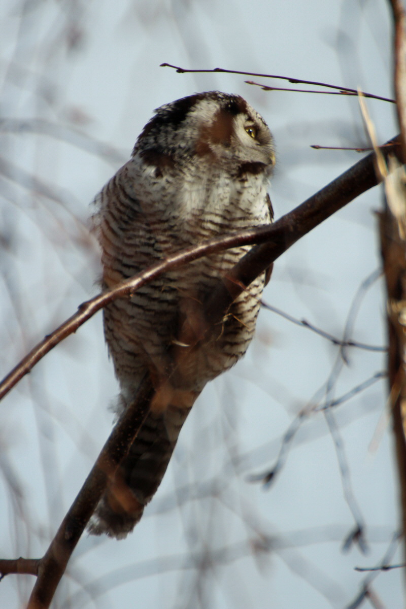 2014_02_08_00033986p_Bildgr��e �ndern