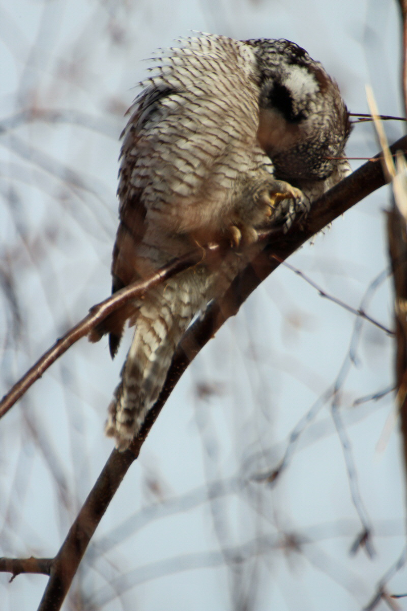 2014_02_08_00033992p_Bildgr��e �ndern