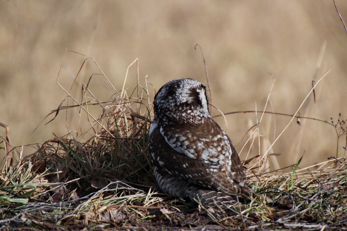 2014_02_08_00034100p_Bildgr��e �ndern