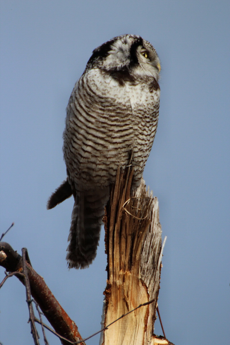 2014_02_08_00034145p_Bildgr��e �ndern