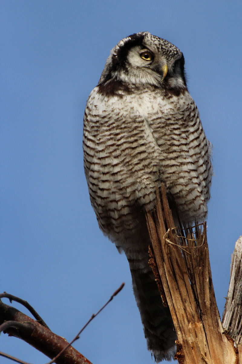 2014_02_08_00034355p_Bildgr��e �ndern