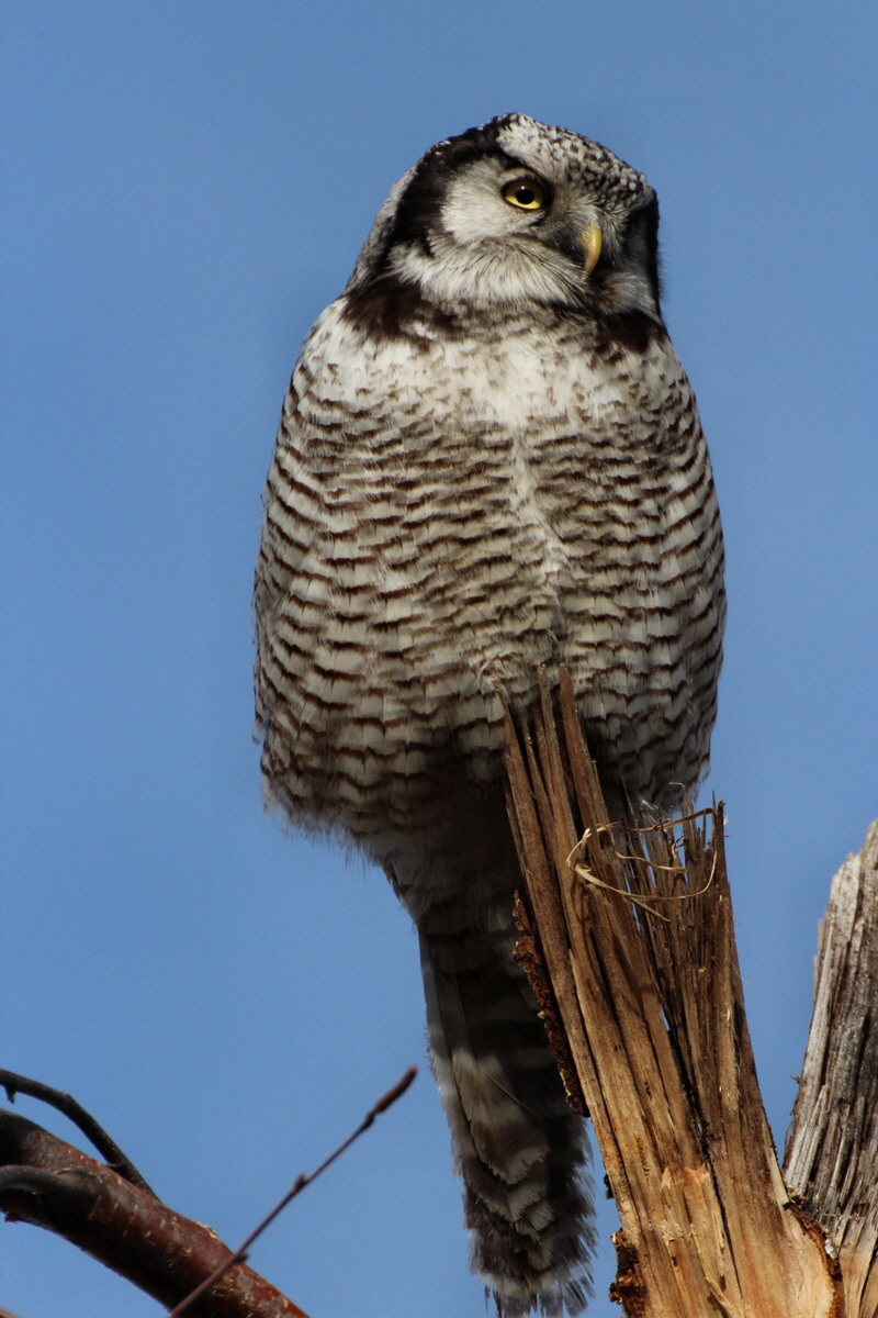 2014_02_08_00034356p_Bildgr��e �ndern