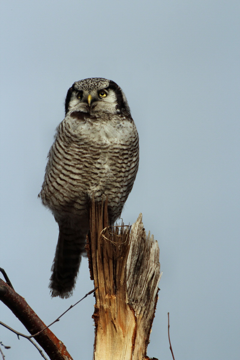 2014_02_08_00034500p_Bildgr��e �ndern