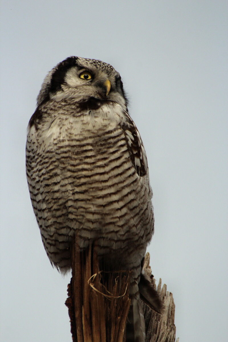 2014_02_08_00034839p_Bildgr��e �ndern