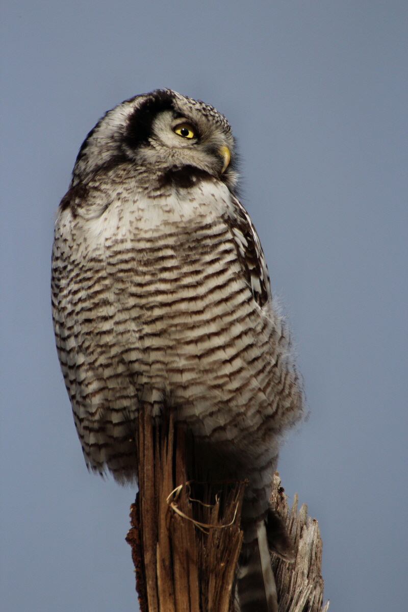 2014_02_08_00034872p_Bildgr��e �ndern