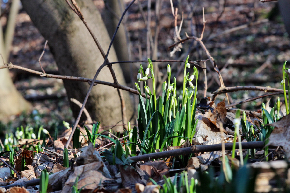 2014_02_16_00034975p_Bildgr��e �ndern