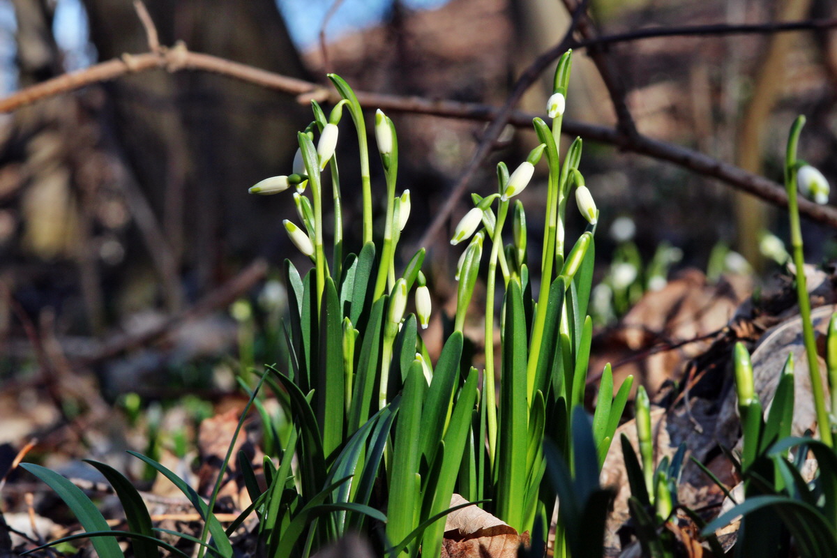 2014_02_16_00034977p_Bildgr��e �ndern