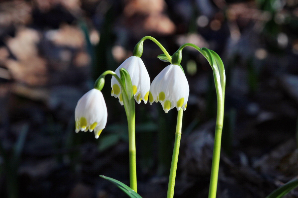 2014_02_16_00034983p_Bildgr��e �ndern