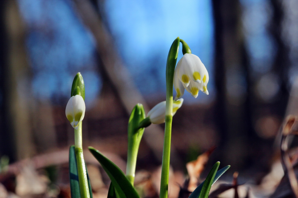 2014_02_16_00034994p_Bildgr��e �ndern