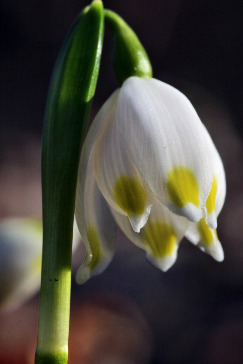 2014_02_16_00034999p_Bildgr��e �ndern