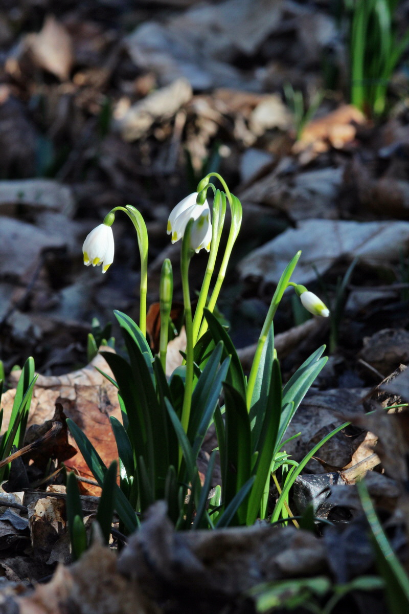 2014_02_16_00035000p_Bildgr��e �ndern