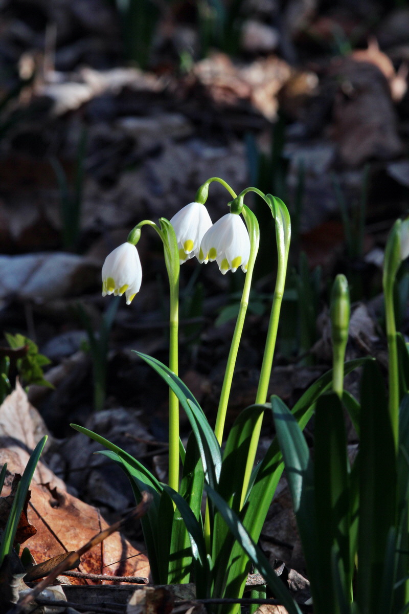 2014_02_16_00035003p_Bildgr��e �ndern