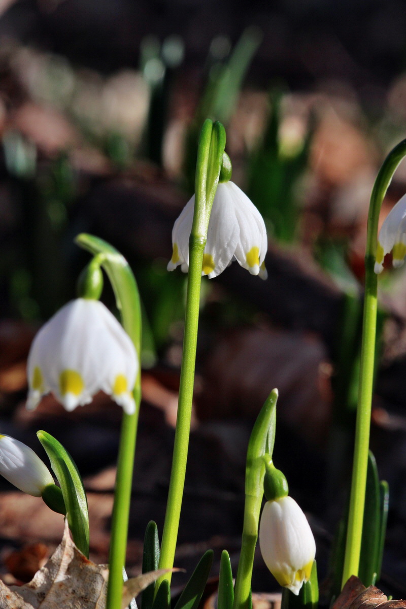 2014_02_16_00035007p_Bildgr��e �ndern