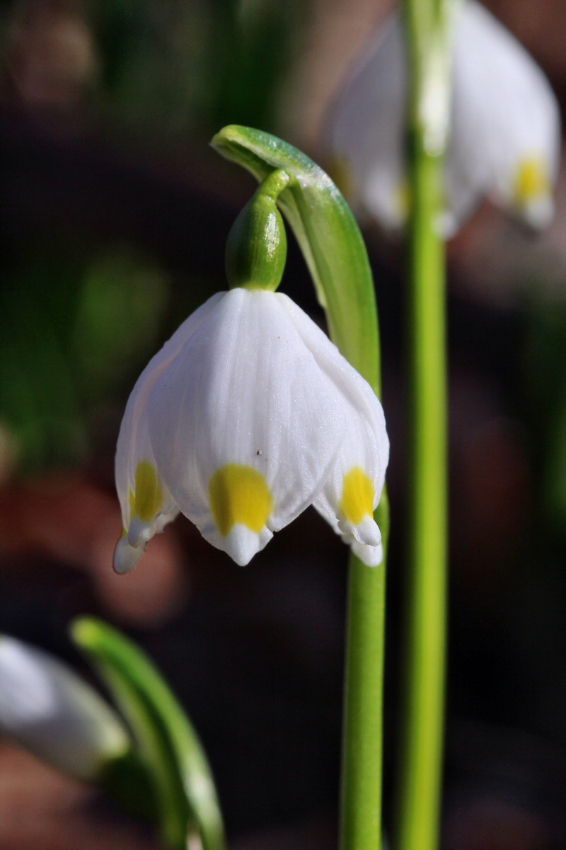 2014_02_16_00035010p_Bildgr��e �ndern