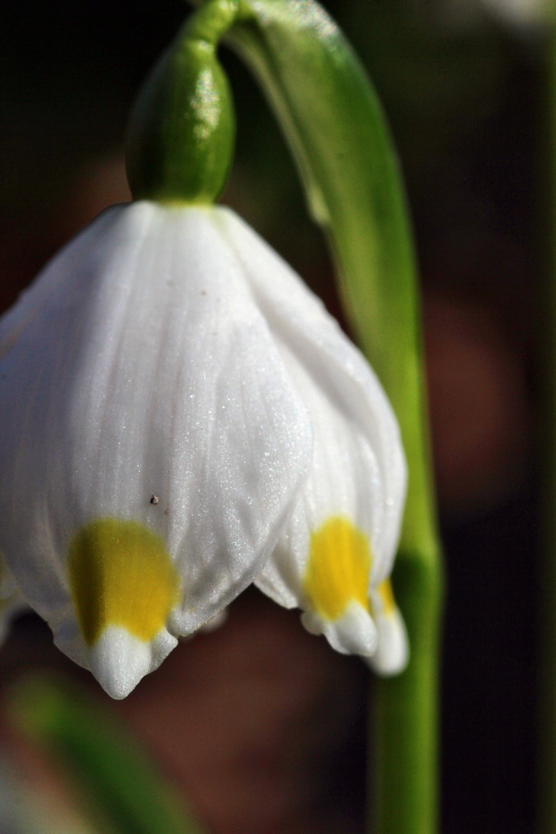 2014_02_16_00035013p_Bildgr��e �ndern