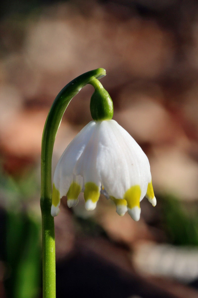 2014_02_16_00035015p_Bildgr��e �ndern