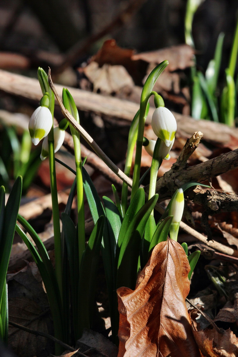 2014_02_16_00035016p_Bildgr��e �ndern