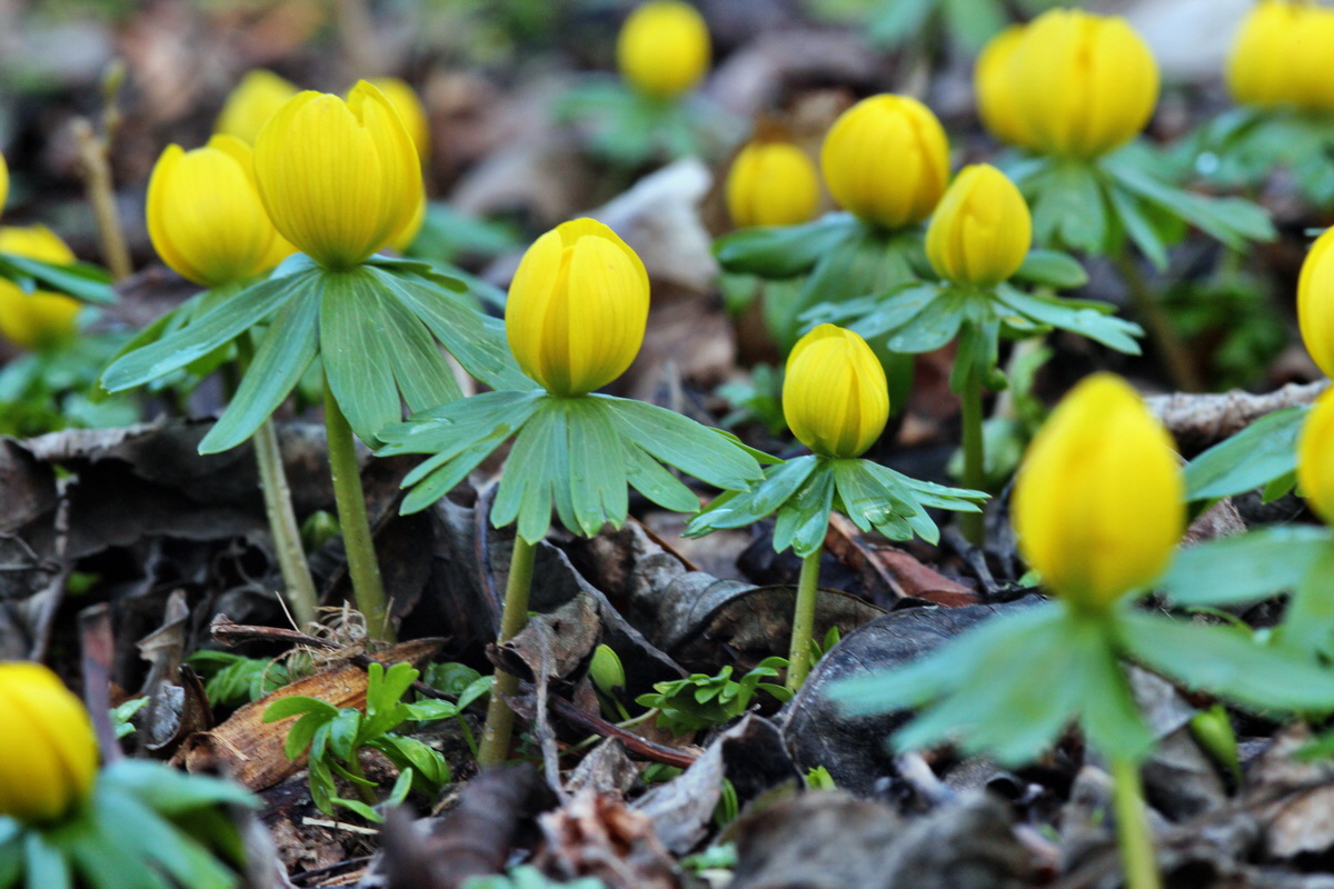 2014_02_16_00035022p_Bildgr��e �ndern