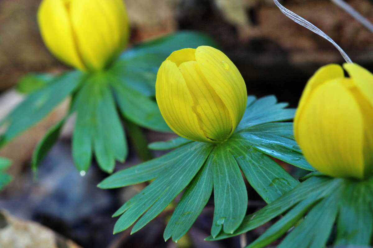 2014_02_16_00035029p_Bildgr��e �ndern