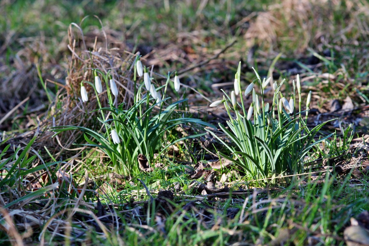 2014_02_16_00035054p_Bildgr��e �ndern