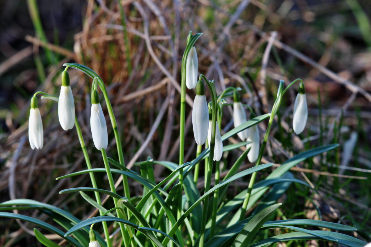 2014_02_16_00035056p_Bildgr��e �ndern