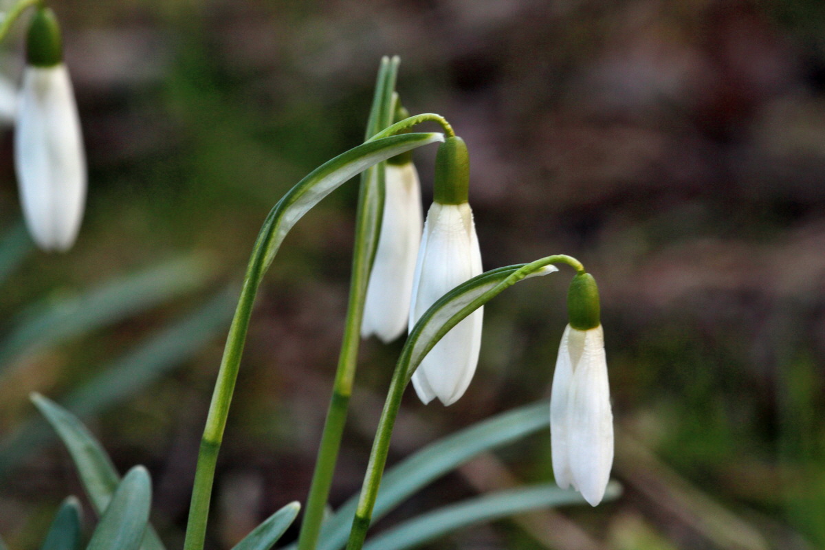 2014_02_16_00035058p_Bildgr��e �ndern