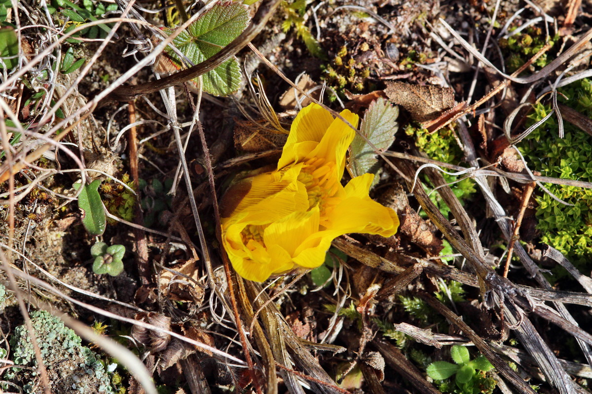 2014_02_17_00035075p_Bildgr��e �ndern