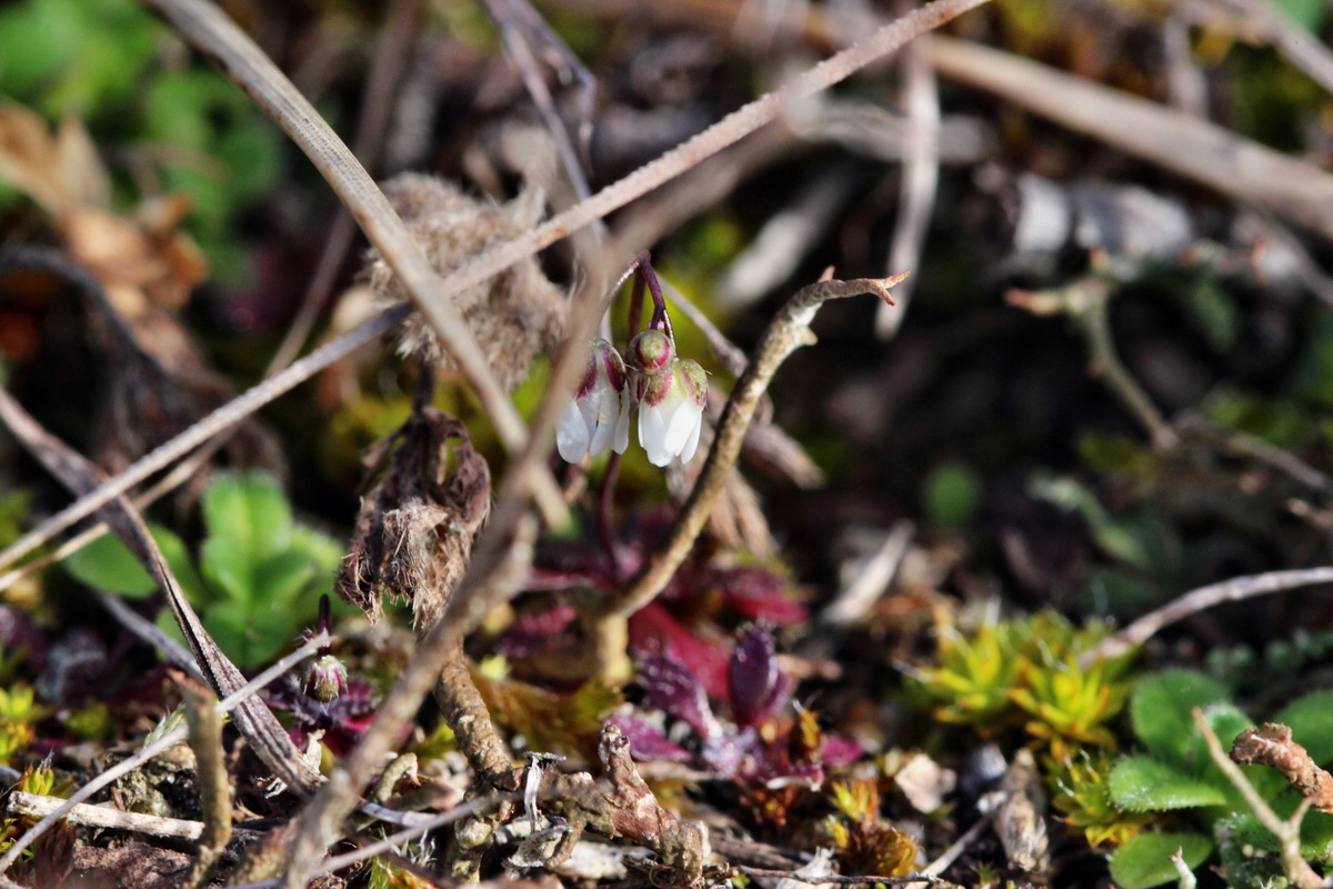 2014_02_17_00035080p_Bildgr��e �ndern