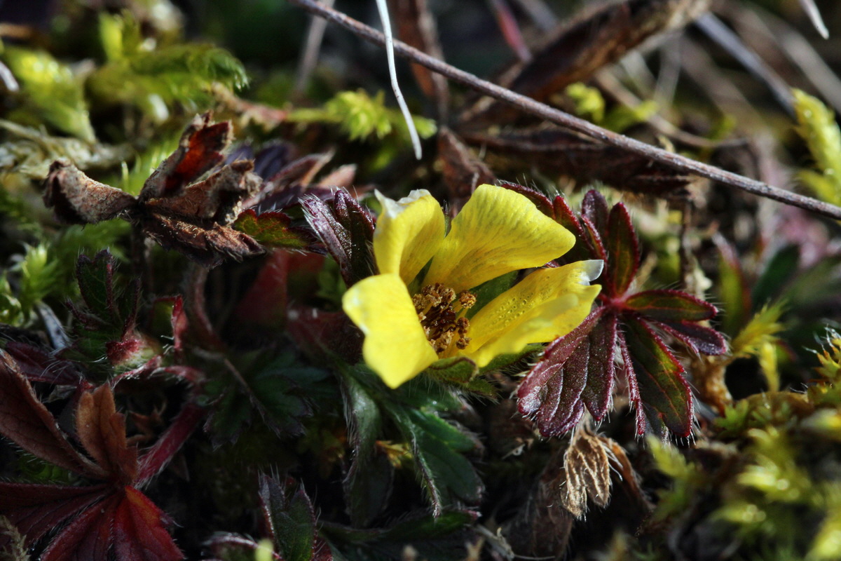 2014_02_17_00035085p_Bildgr��e �ndern