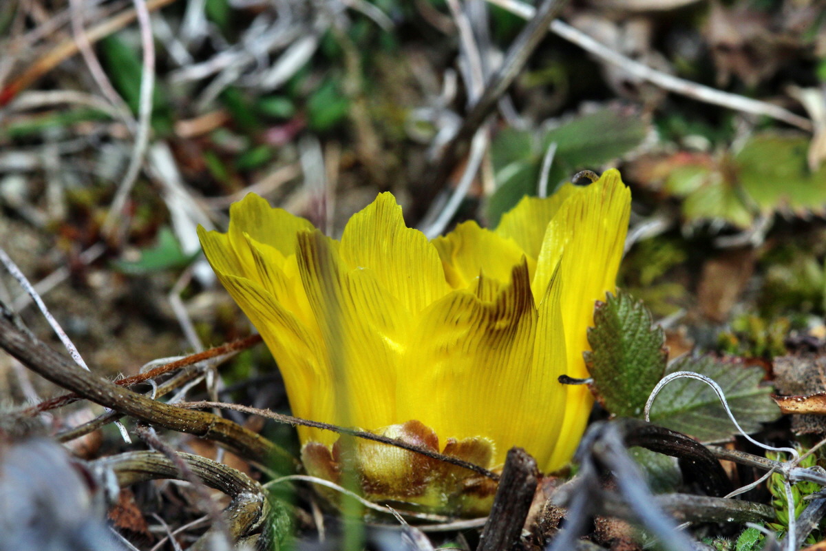 2014_02_17_00035092p_Bildgr��e �ndern