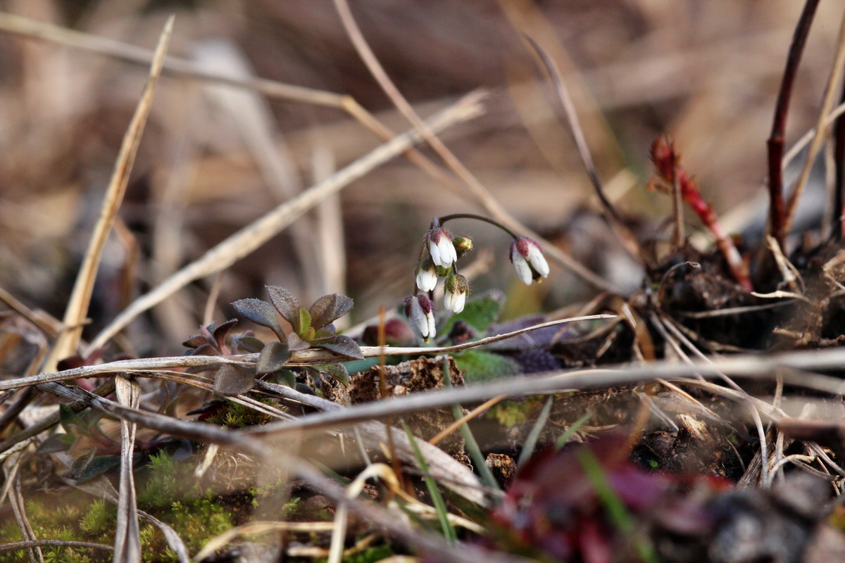 2014_02_17_00035095p_Bildgr��e �ndern