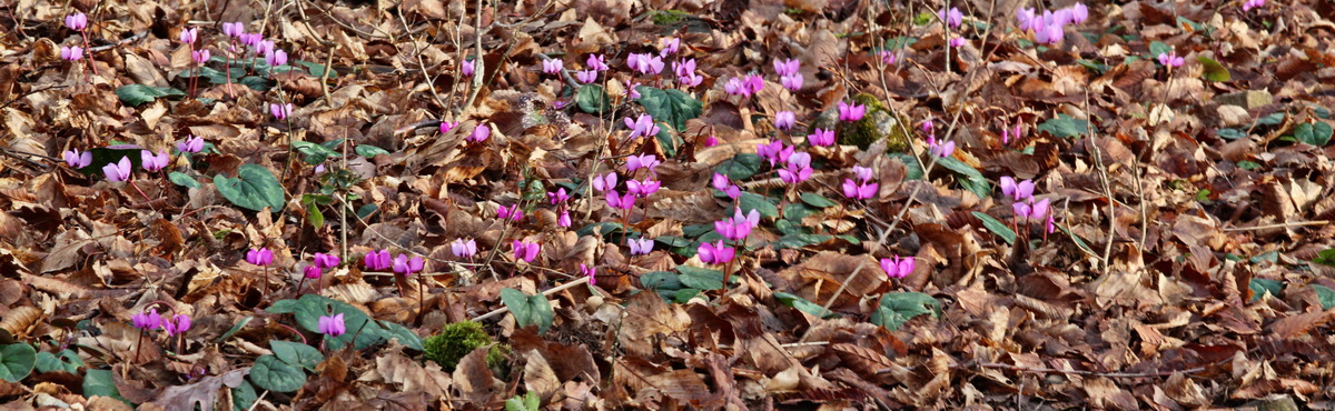 [Group 2]-2014_02_18_00035141_2014_02_18_00035148-2 imagesp_Bildgr��e �ndern