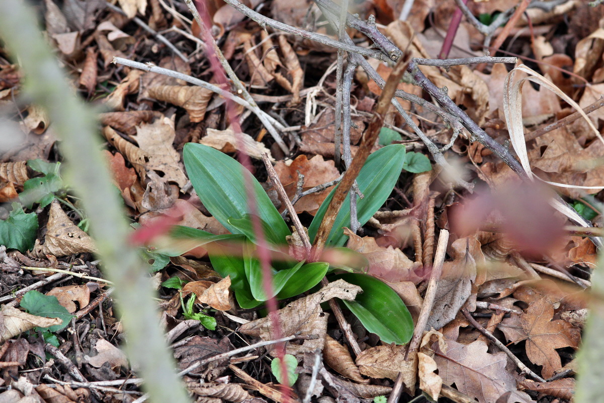 2014_02_22_00035304p_Bildgr��e �ndern