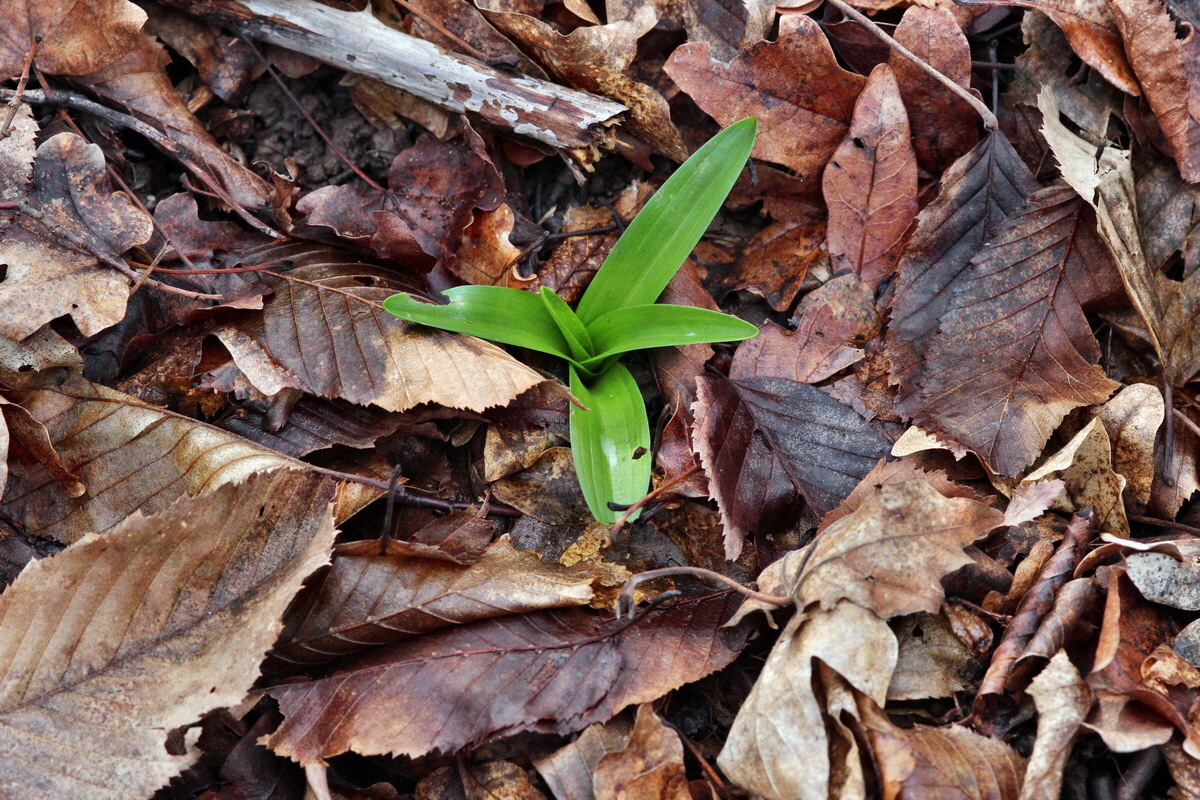 2014_02_22_00035306p_Bildgr��e �ndern