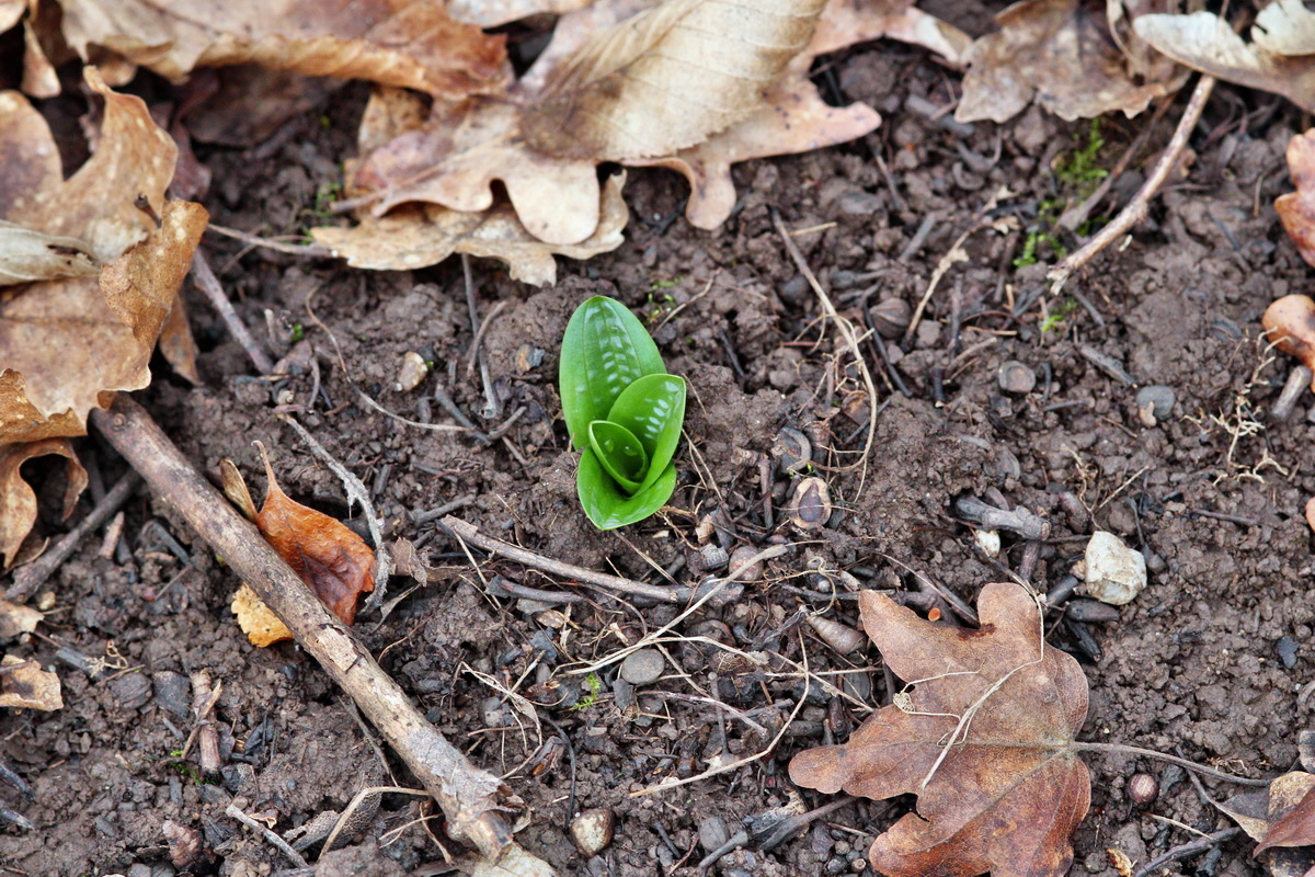 2014_02_22_00035312p_Bildgr��e �ndern