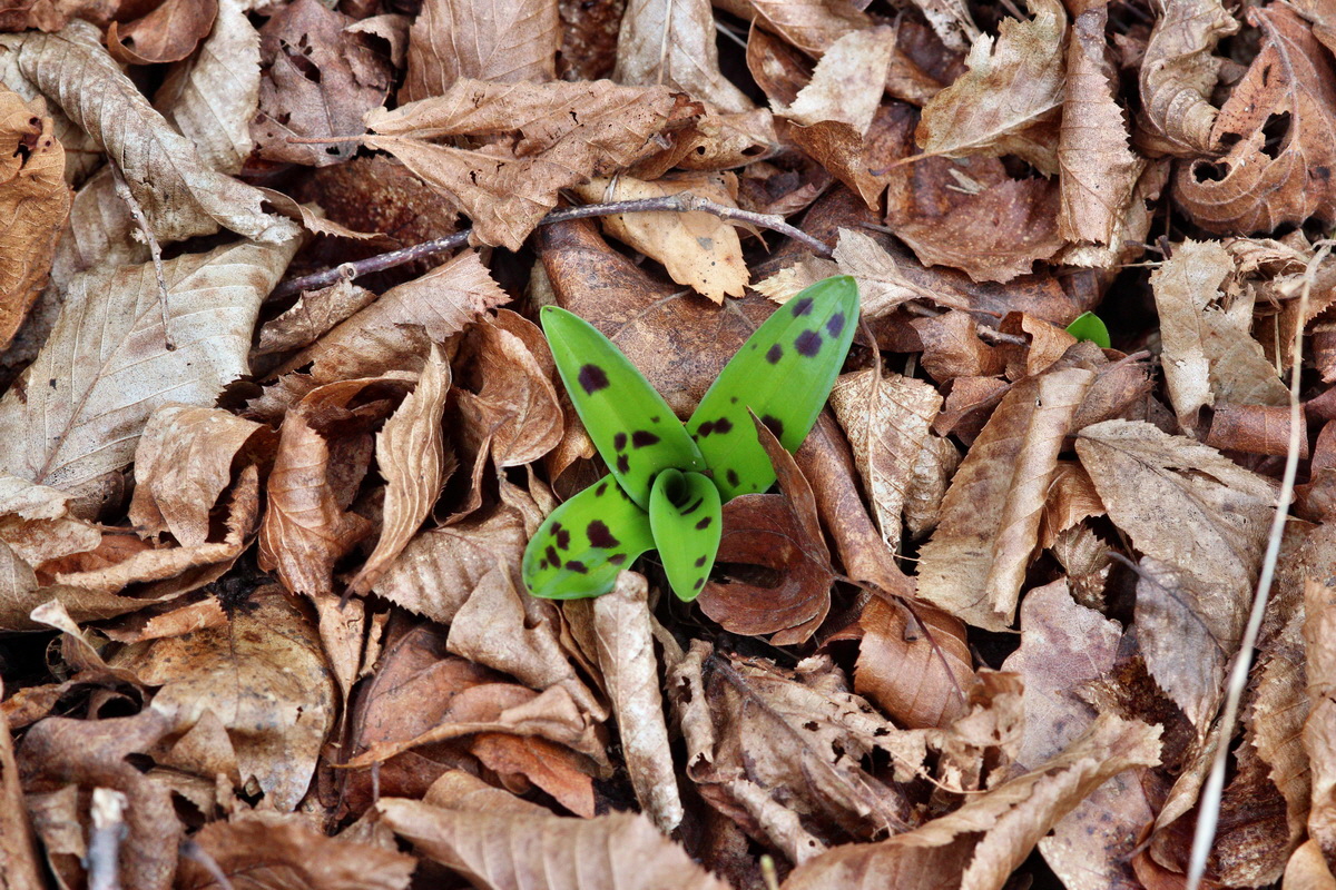 2014_02_22_00035352p_Bildgr��e �ndern