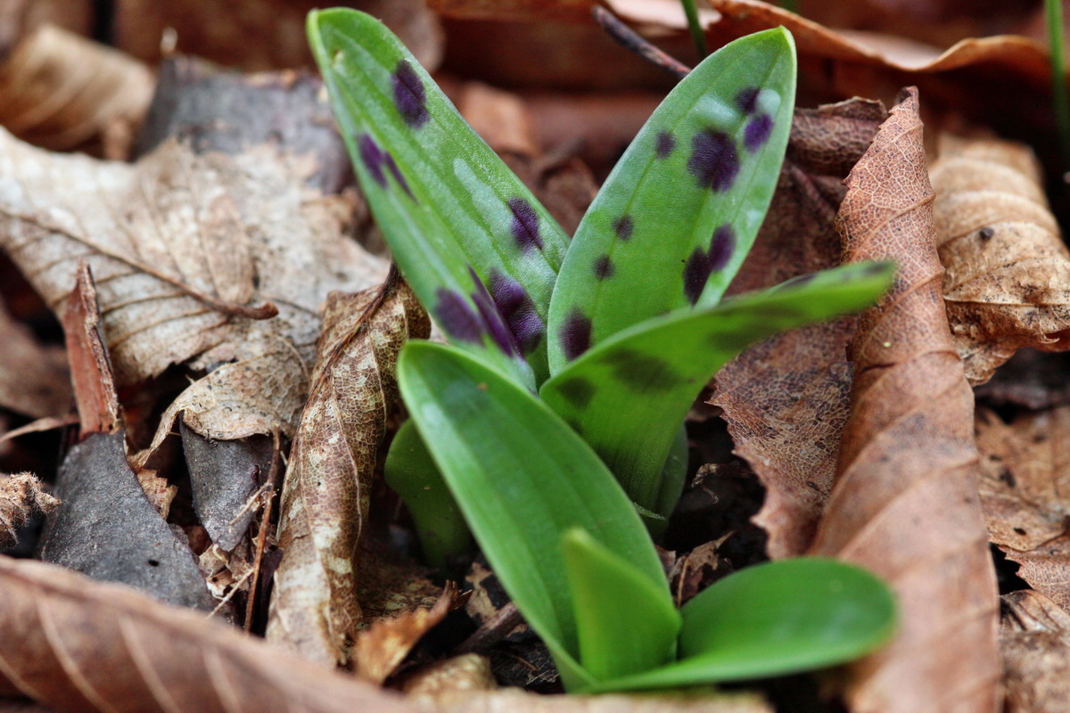 2014_02_22_00035355p_Bildgr��e �ndern