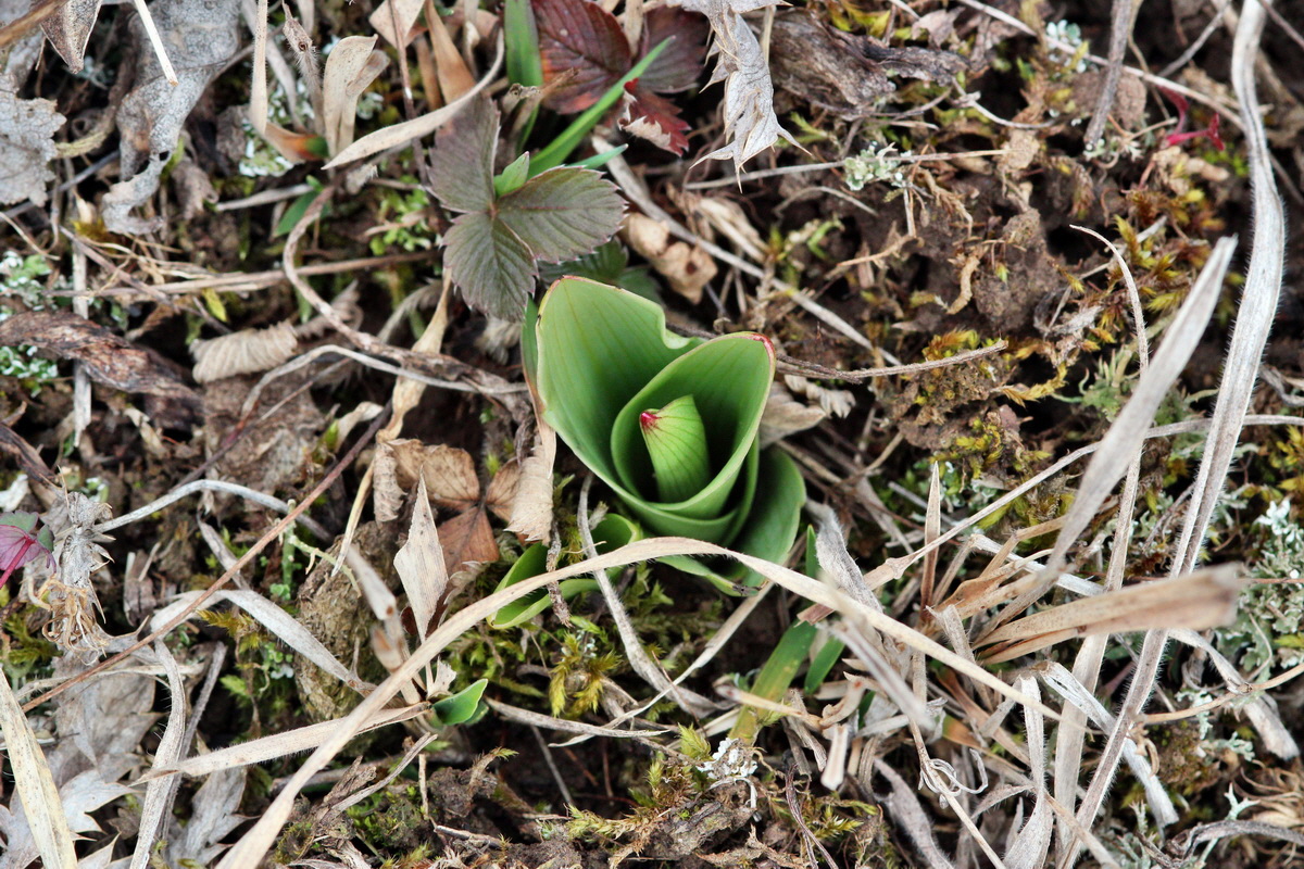 2014_02_22_00035357p_Bildgr��e �ndern