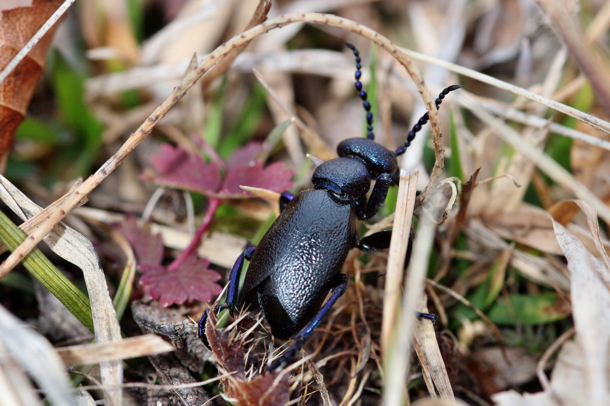 2014_02_22_00035360p_Bildgr��e �ndern