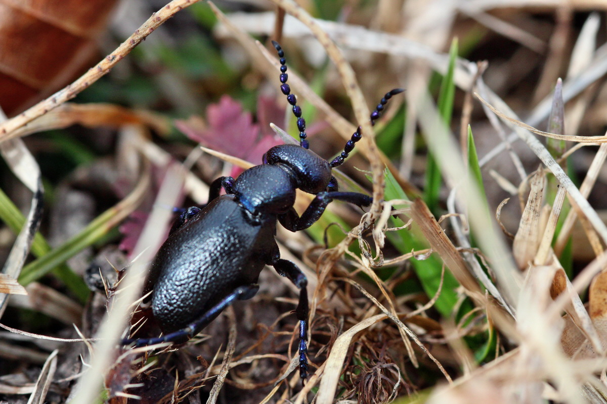 2014_02_22_00035364p_Bildgr��e �ndern