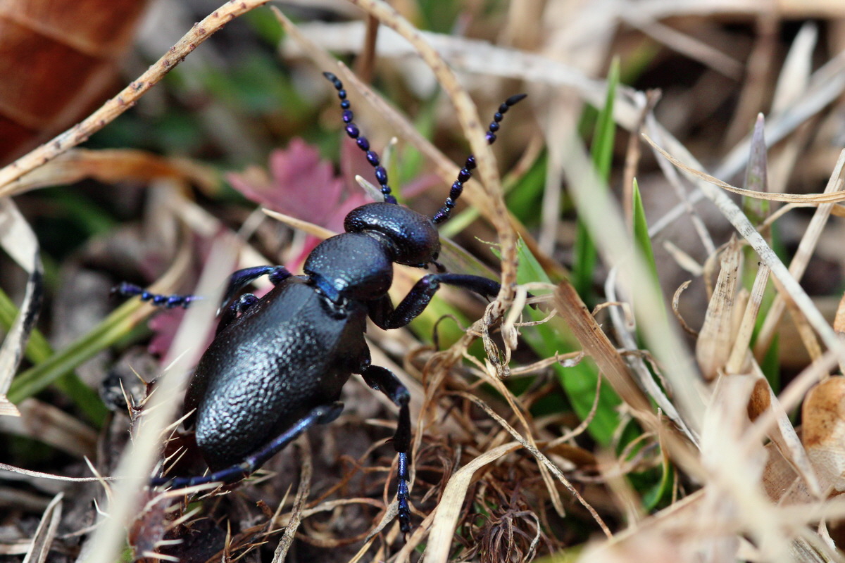 2014_02_22_00035365p_Bildgr��e �ndern