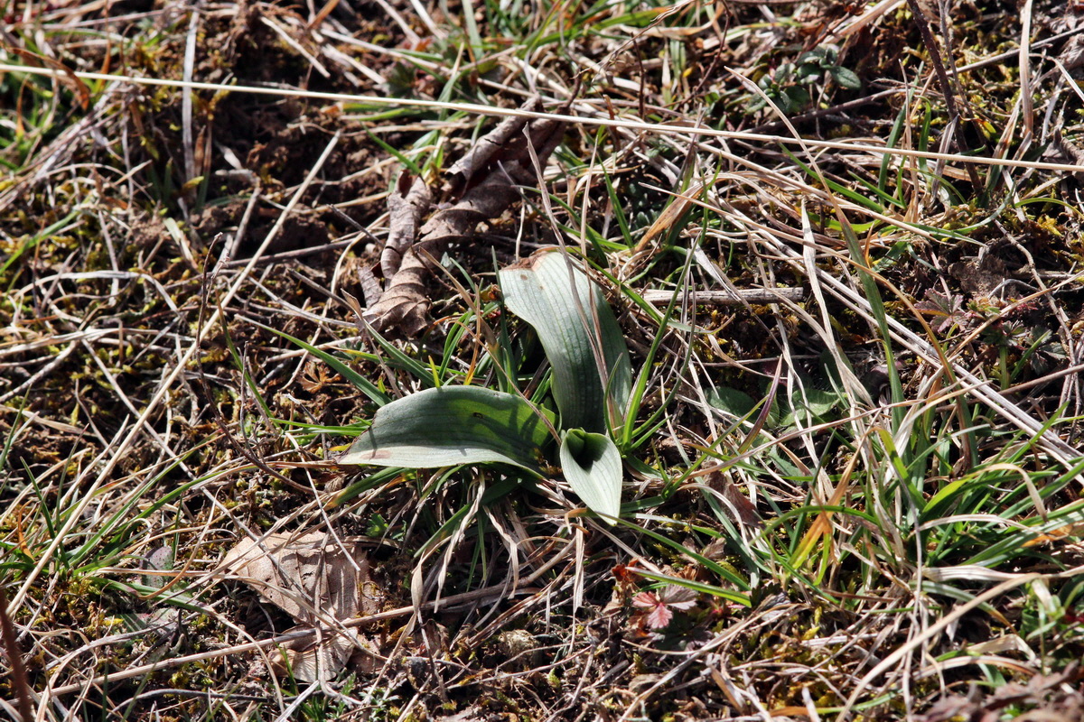 2014_02_22_00035368p_Bildgr��e �ndern