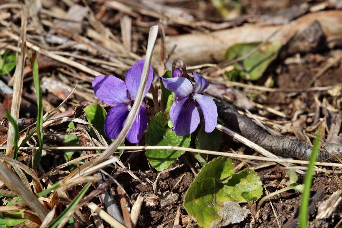 2014_02_22_00035371p_Bildgr��e �ndern