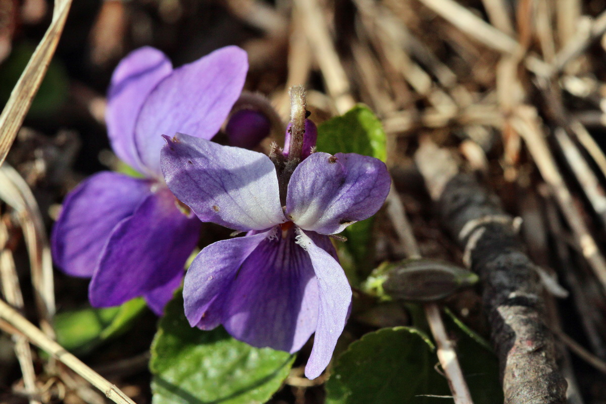 2014_02_22_00035374p_Bildgr��e �ndern