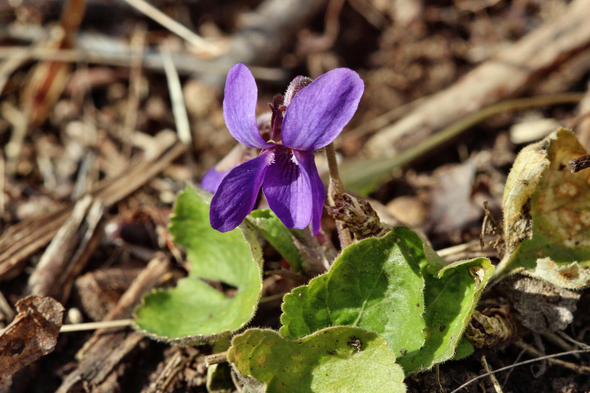 2014_02_22_00035375p_Bildgr��e �ndern