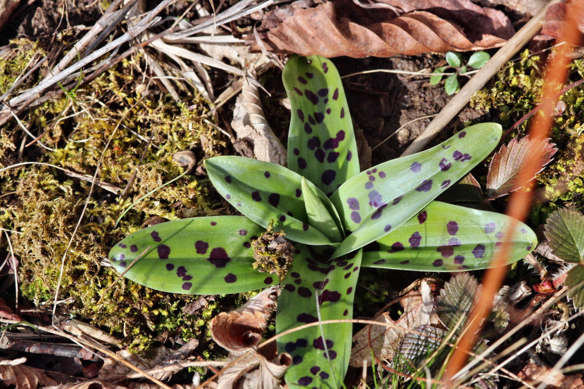 2014_02_22_00035382p_Bildgr��e �ndern