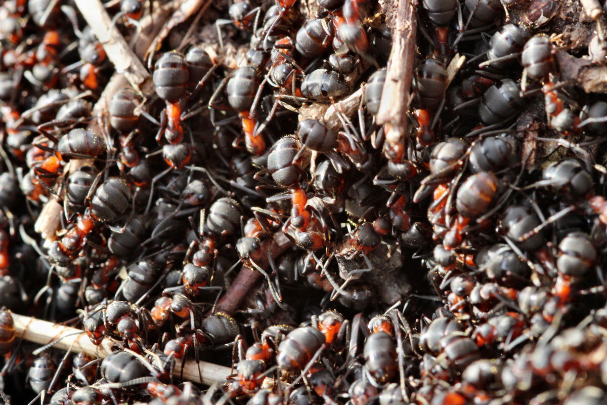 2014_02_22_00035392p_Bildgr��e �ndern